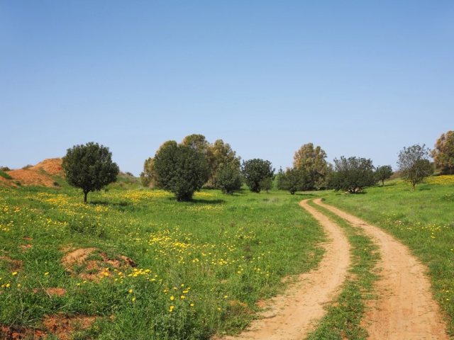 depositphotos יישוב
