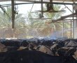 עקב השרב הכבד מפעילים הרפתנים בערבה מערכות צינון ברפתות להקלת רווחתן של הפרות הסובלות מהחום