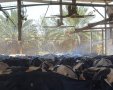 מערכת צינון ברפת עידן בערבה התיכונה - צילום ענת אביגד