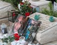 חלפה כמעט שנה מאז הירצחה של הדס מלכא ז"ל
