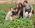 חיבורים בחקלאות