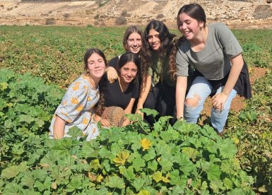 חיבורים בחקלאות