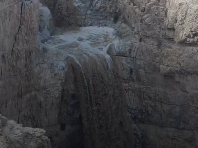 צילום יוני גריצנר