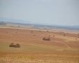 שדות בדרום