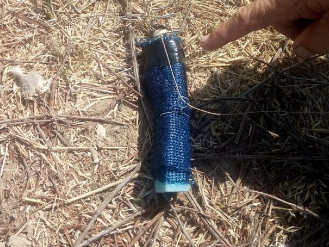צילום : דור
