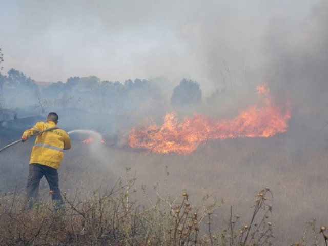 צילום יהודה פרץ קק"ל