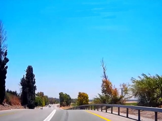 צילום: יח״צ Thecar