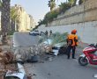 תאונה באשקלון: נהגת רכב התנגשה בעץ, היא ושני ילדיה נפצעו 