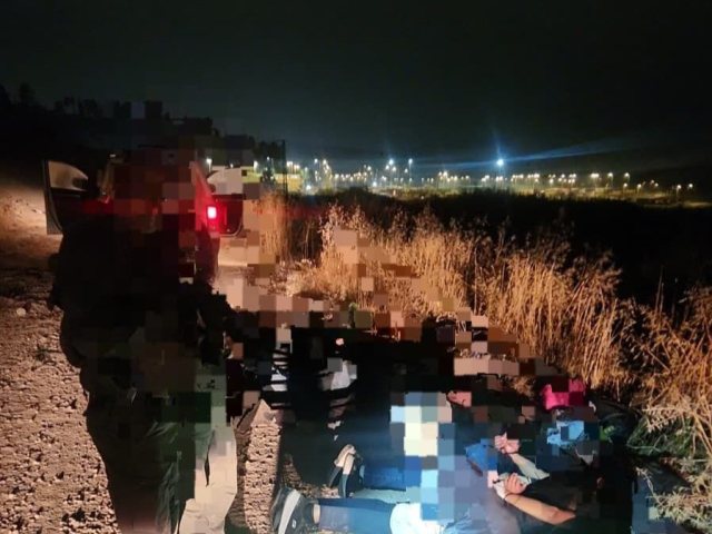 דוברות משטרה 