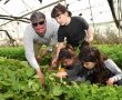 אירועי "מהחממה לצלחת" בערבה: הצדעה לחקלאות ישראלית מקומית