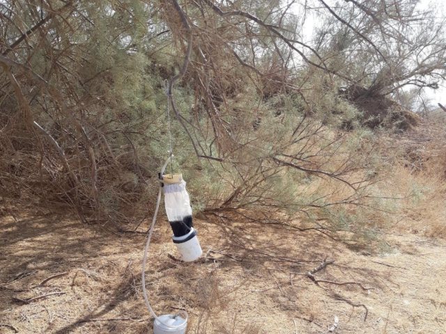 בריכות חמצון גרופית בערבה. צילום - איתי נוה, רשות הטבע והגנים 