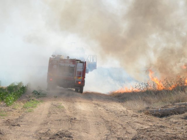 דוברות כב"ה מחוז דרום