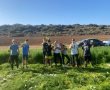 עשרות בנות ובני נוער מכפר הרי"ף יצאו היום לשדות קיבוץ גל און במסגרת התנדבות וסיוע לחקלאים 