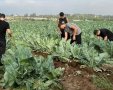 צו 8  לחקלאות לתלמידי אמית באר טוביה 
