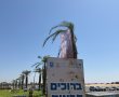 לראשונה בתולדותיו: בחוף זיקים יתקיים היום (ה') יריד עסקים כחול-לבן של מ"א חוף אשקלון