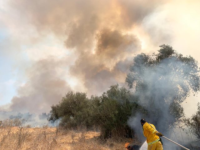 דוברות כב"ה מחוז דרום