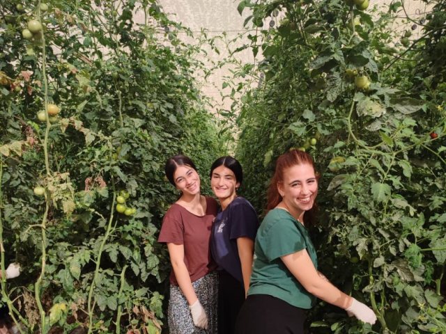מדרשת אמית קמה 