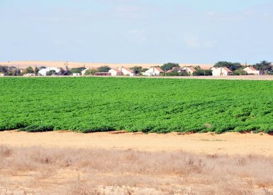 depositphotos יישובי הדרום 