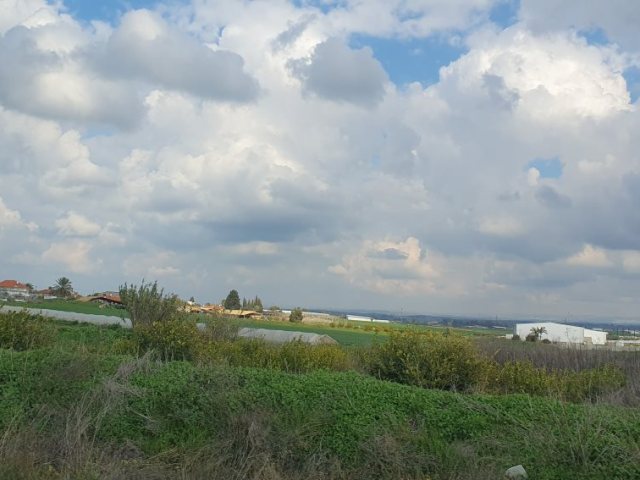 אילוסטרציה