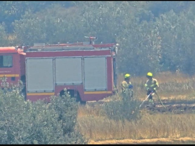קרדיט לצילום: מתן שרף תיעוד מבצעי כב״ה.