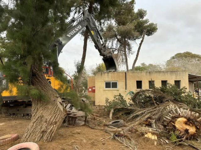 דוברות אשכול