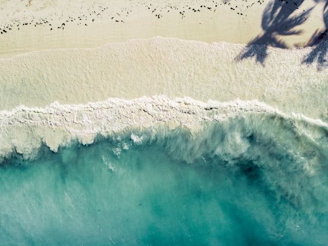 Photo by Andre Abreu on Unsplash