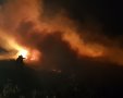 שריפה ביער בארי צילום דני בן דוד יערן קק"ל