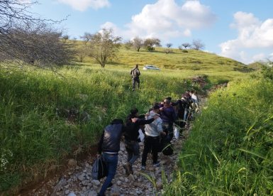 דוברות משטרה