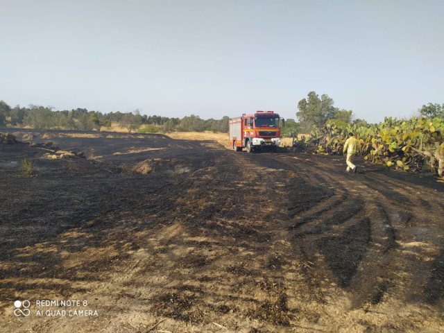 דוברות כבאות והצלה