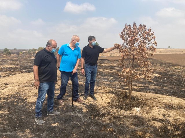 סיור ביערות שנשרפו יערני קק"ל