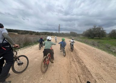 תמונות באדיבות המועצה