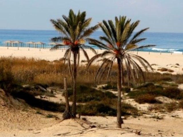 חוף זיקים
