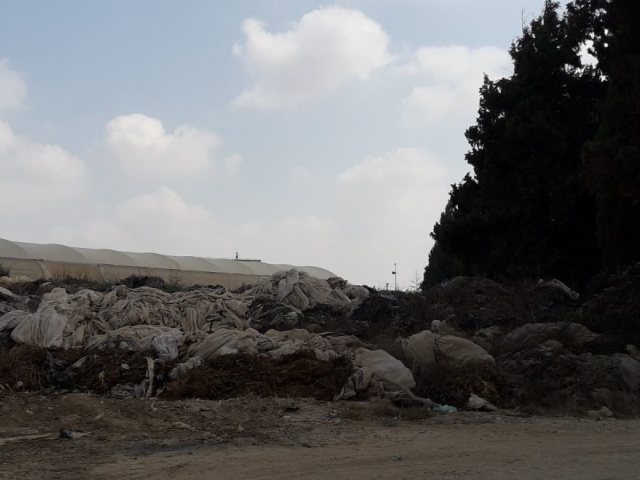 פסולת גזם במועצה האזורית שדות נגב, קרדיט: ד"ר רננה אילן, המשרד להגנת הסביבה