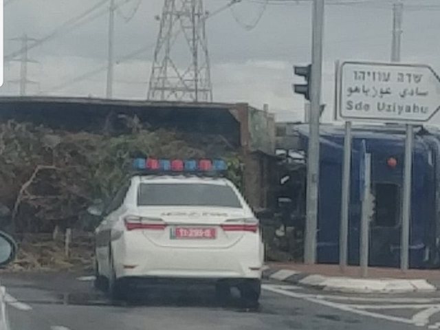 צילום: מוטי א