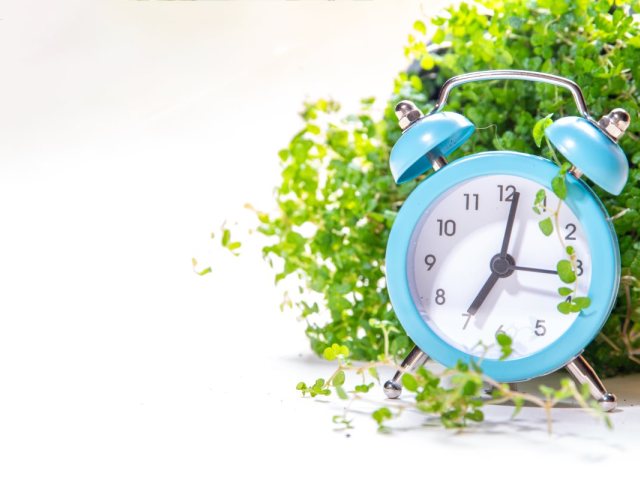 עוברים לשעון קיץ. קרדיט: freepik