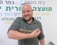 דוברות יואב