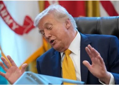 דונלד טראמפ - צילום: ap, Julia Demaree Nikhinson