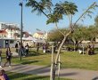סופ"ש בב"ש: אירועים והמלצות לסופ"ש מושלם בבירת הנגב