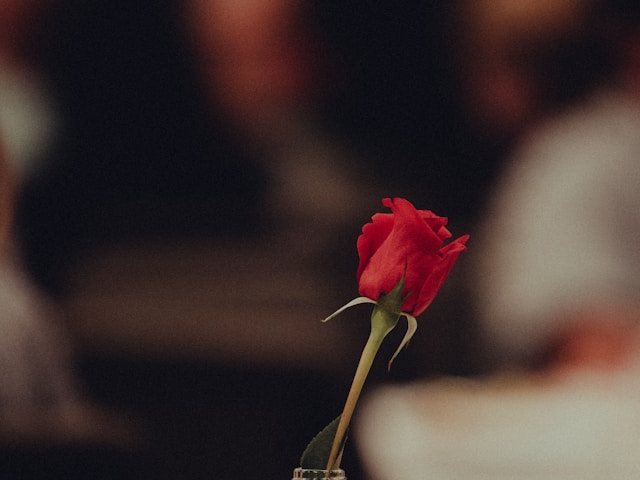 קרדיט-Photo by Zane Persaud on Unsplash