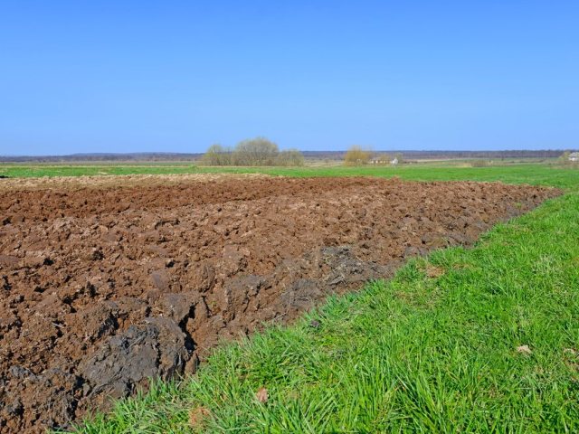 depositphotos. קרקע חקלאית
