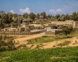 depositphotos+ אילוסטרציה