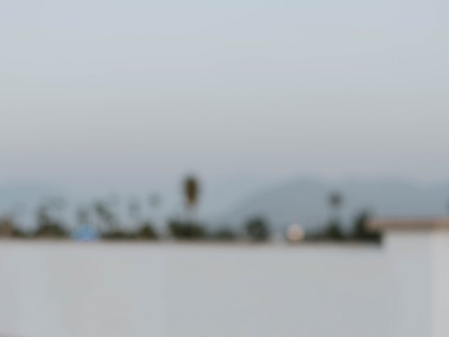 קרדיט- Photo by Stephanie Hernandez on Unsplash
