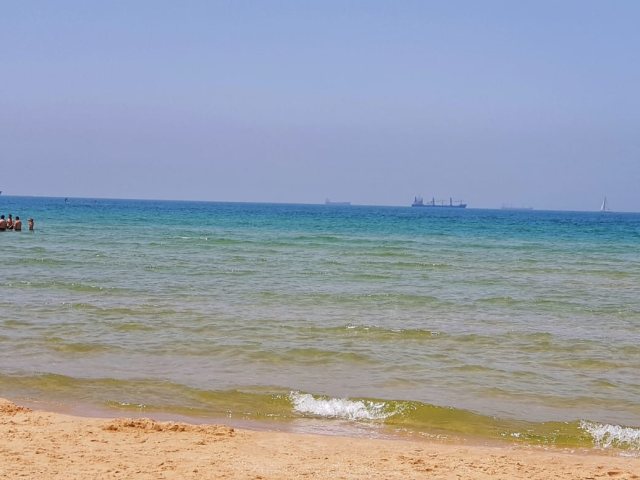 צילום: אלדה נתנאל