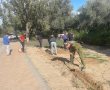 זורעים תקווה בעוטף: היוזמה המרגשת של עובדי 'דודאים'