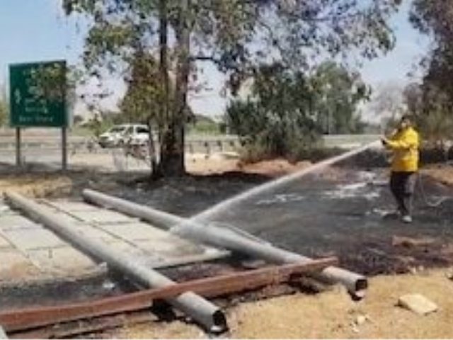 צילום קק"ל