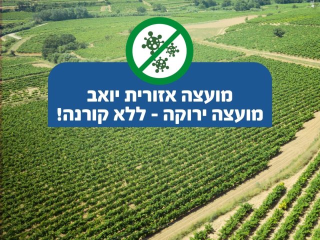 דוברות יואב