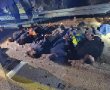 נתפסו על חם 8 חשודים שניסו לחצות את הגדר ביישובי לכיש 