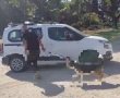 אכיפה במועצה האזורית לכיש: כלבים משוחררים נלקחו להסגר
