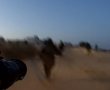 מסתערבי מג״ב דרום עצרו שני חשודים בהשחתת האנדרטה לזכר חלל צה״ל סמל יהודה פרץ ז״ל ביישוב רתמים