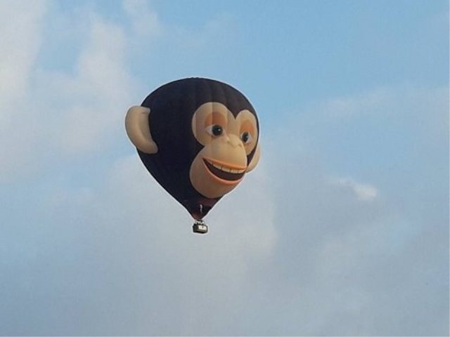 כדור פורח